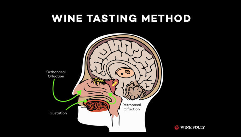 wine smell